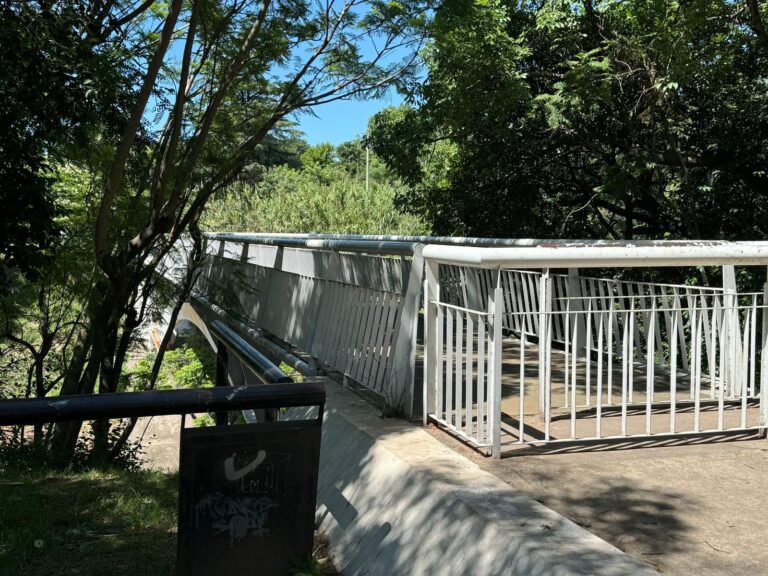 Piden que se clausure el puente peatonal sobre Av. Pellegrini hasta que termine la obra de la ciudad universitaria