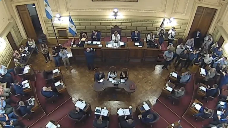 El Senado convirtió en ley la prohibición de cargos hereditarios