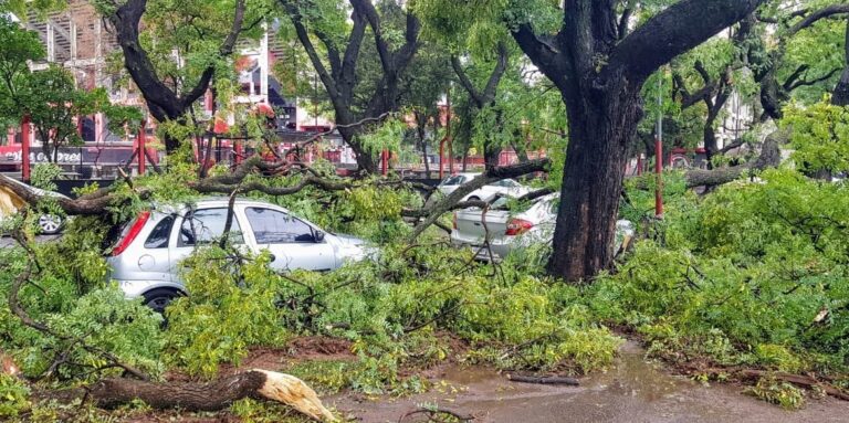 Temporal en Rosario: anegamientos, árboles caídos y cortes de luz y agua en casi todos los barrios