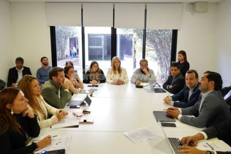 Diputados recibieron al ministro de Trabajo: conflictos laborales, apertura de importaciones y mejoras legislativas los temas que trataron