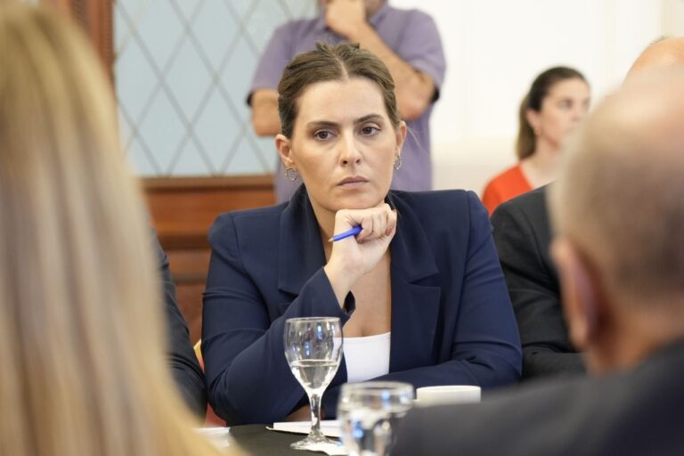 Quieren extender “Ficha Limpia” para que empresas o personas condenadas por corrupción no puedan ser contratadas por el estado