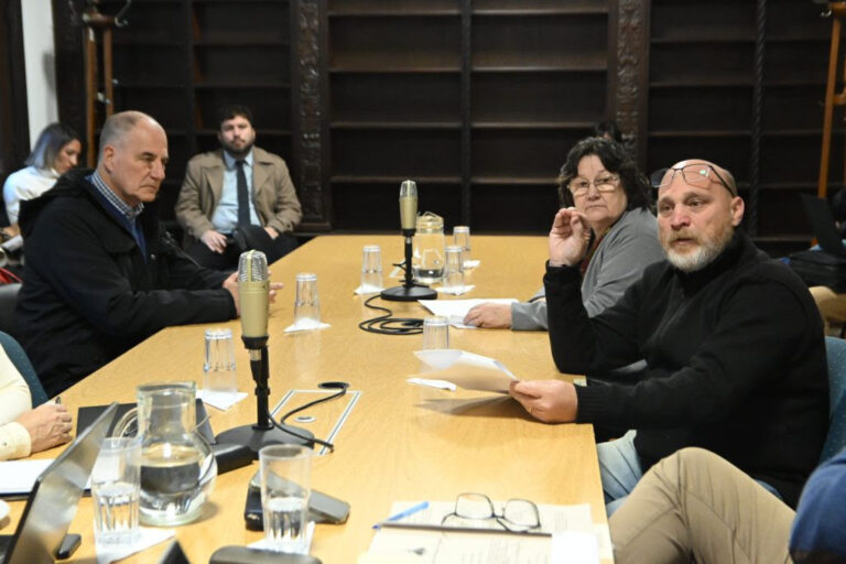 Taxis: avanza la propuesta de tarifa única y descuentos especiales para competir con aplicaciones
