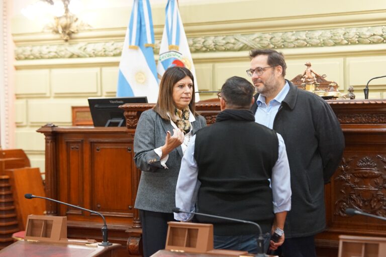 Clara García supervisó las tareas de adecuación realizadas en la cámara baja para albergar a la Constitución Constituyente