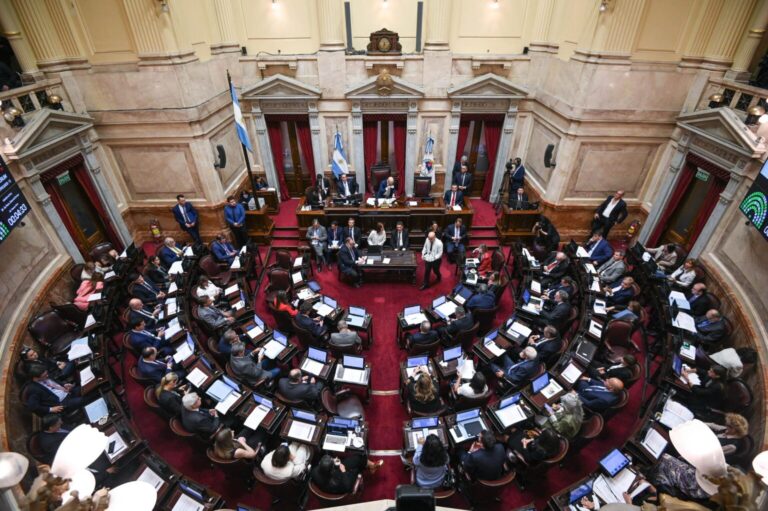 El Senado aprobó la ley de financiamiento universitario y declaró la emergencia en la salud pediátrica