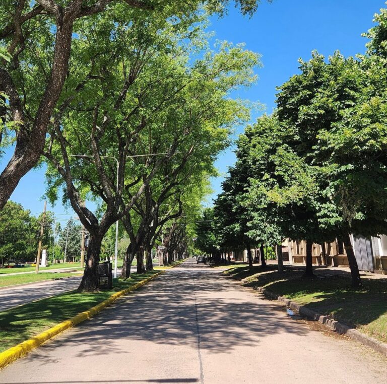 Con tecnología de punta San Jerónimo Sud realiza el relevamiento del arbolado público