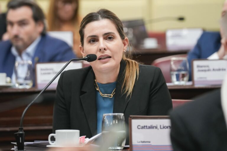 Cattalini pidió celeridad al Consejo de la Magistrarura en el caso del juez Salmain