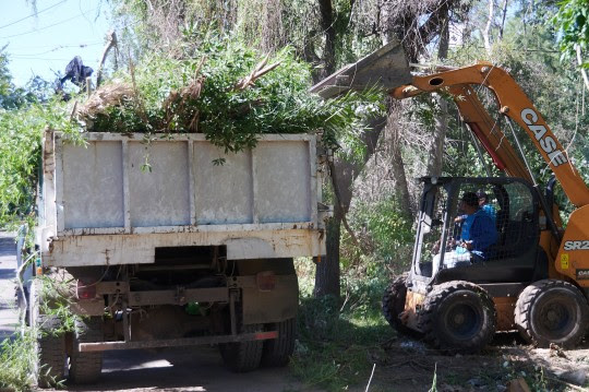 Autonomía: el municipio comenzó a intervenir baldíos descuidados sin necesidad de autorización judicial
