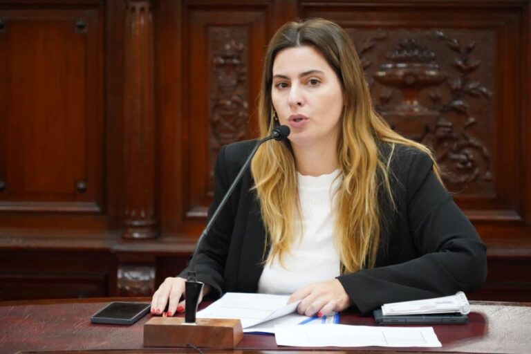 Cattalini: “La legitimidad de la Corte se construye con participación ciudadana”