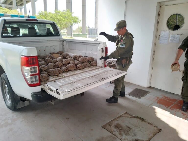 Actualizaron las multas por caza ilegal y delitos contra la fauna en Santa Fe