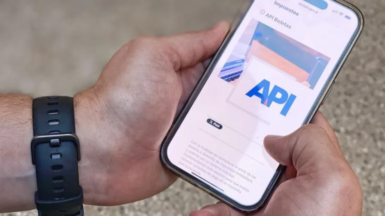 Inmobiliario y patente: más de 605.000 santafesinos utilizaron el descuento