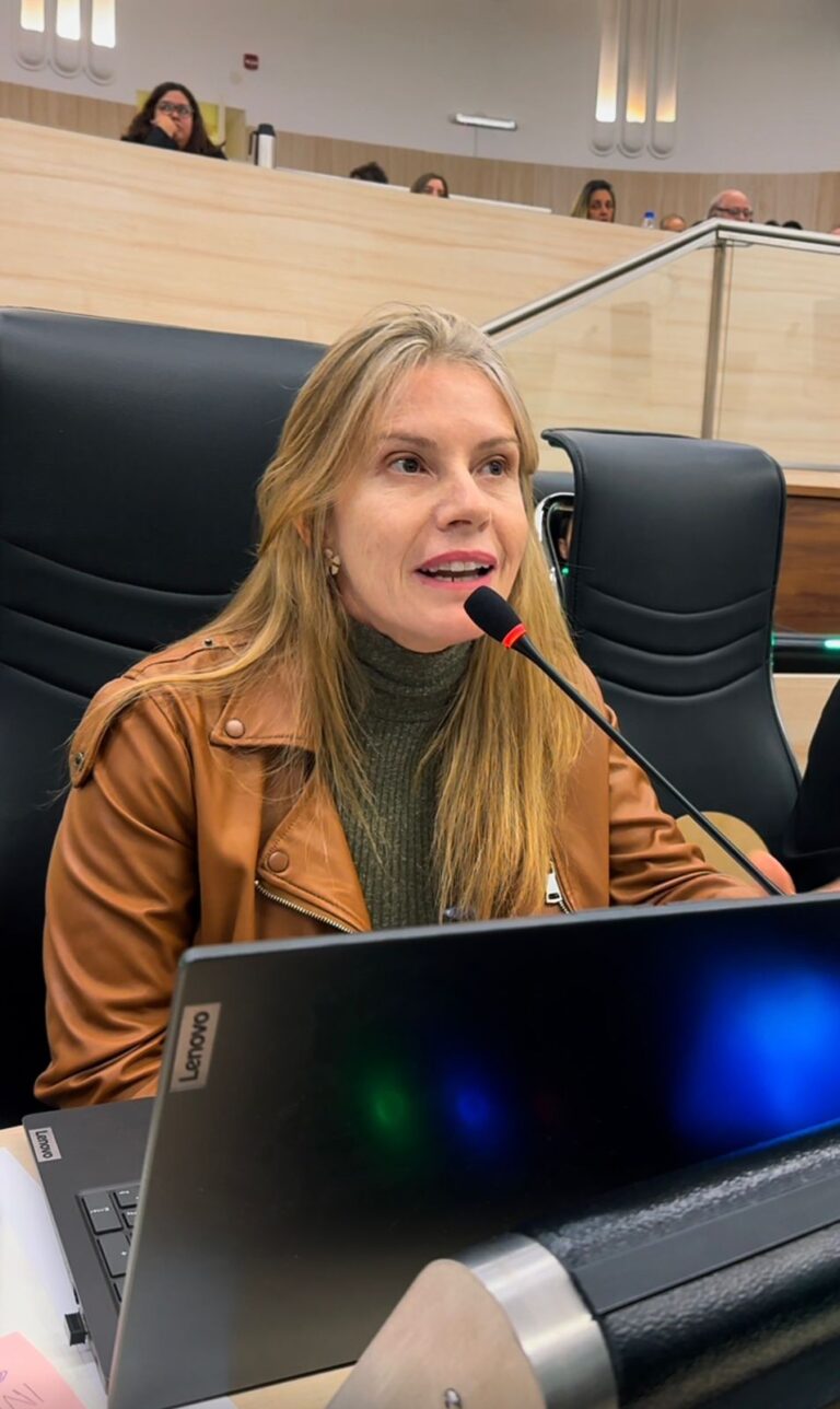 Schibelbein: “A la oposición no le interesa el proyecto de transformación de la costanera norte, es imposible discutir con ellos racionalmente”