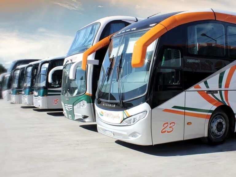 Más frecuencias y boleto único: reorganizan el transporte sobre la ruta 11