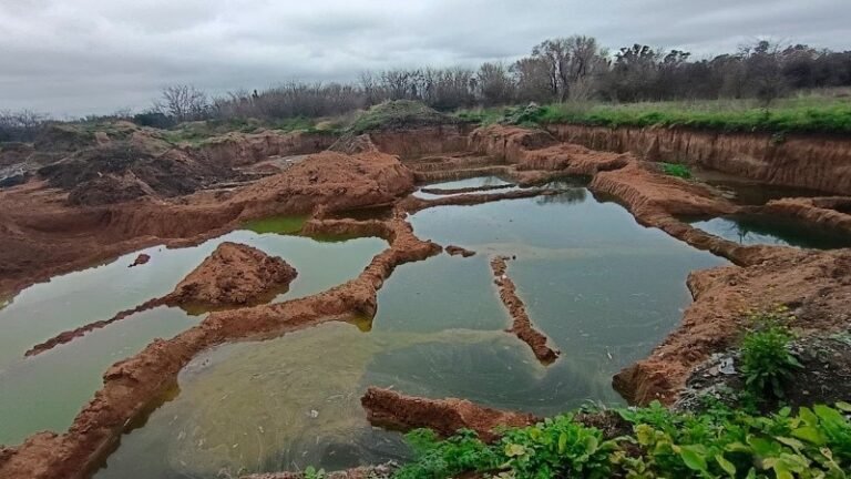 Frenaron excavaciones ilegales en un basural de zona oeste por daño ambiental y rescataron a un jabalí cachorro