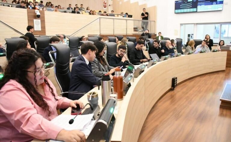 Concejales libertarios buscan ponerle un freno a las distinciones: “Se le da a cualquier persona”