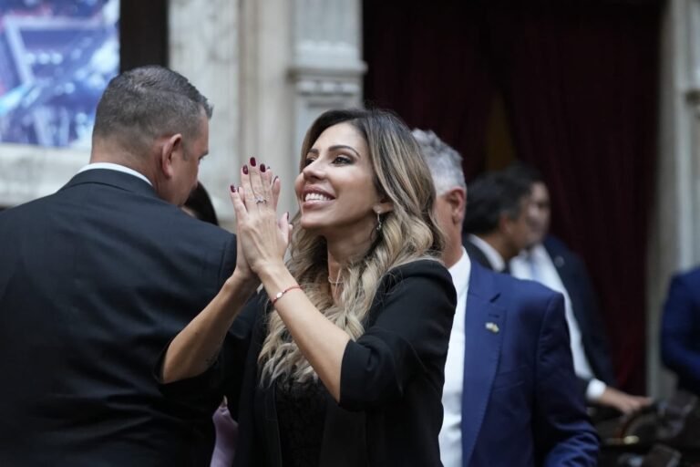 Romina Diez celebró los números de Milei: “Estabilidad cambiaria, créditos hipotecarios, menos pobreza, menos inflación y récord en exportación”