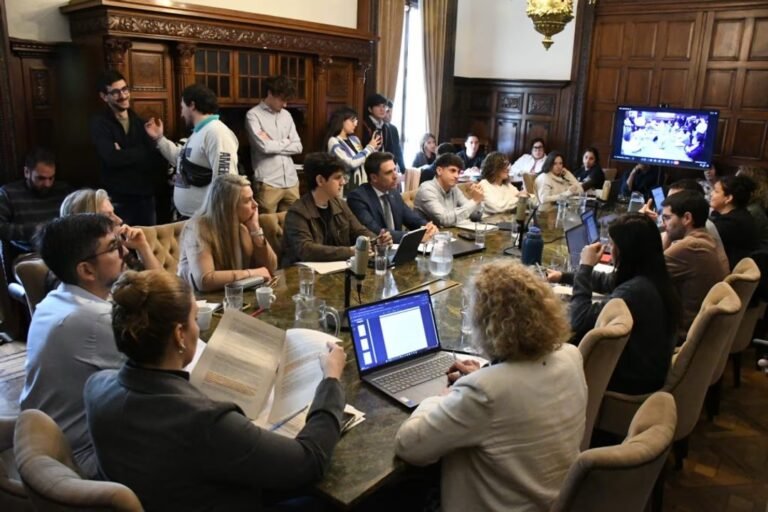 Uber y DiDi: en Rosario todavía no madura el acuerdo