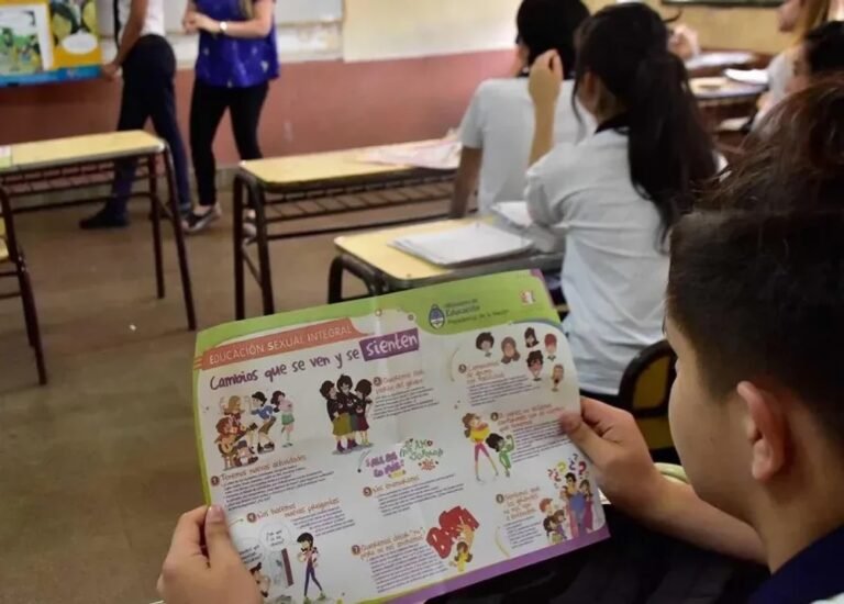 Solo 19 de cada 100 chicos cursan el año adecuado y con buen aprendizaje