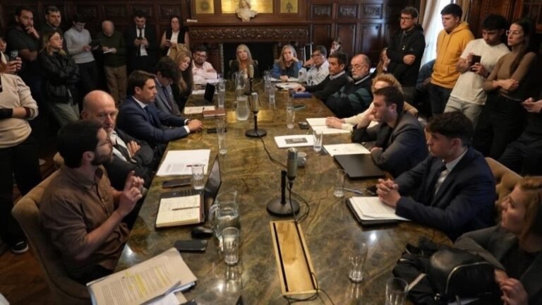 Uber y DiDi en Rosario: el Concejo frenó la legalización de las aplicaciones y el debate se postergó