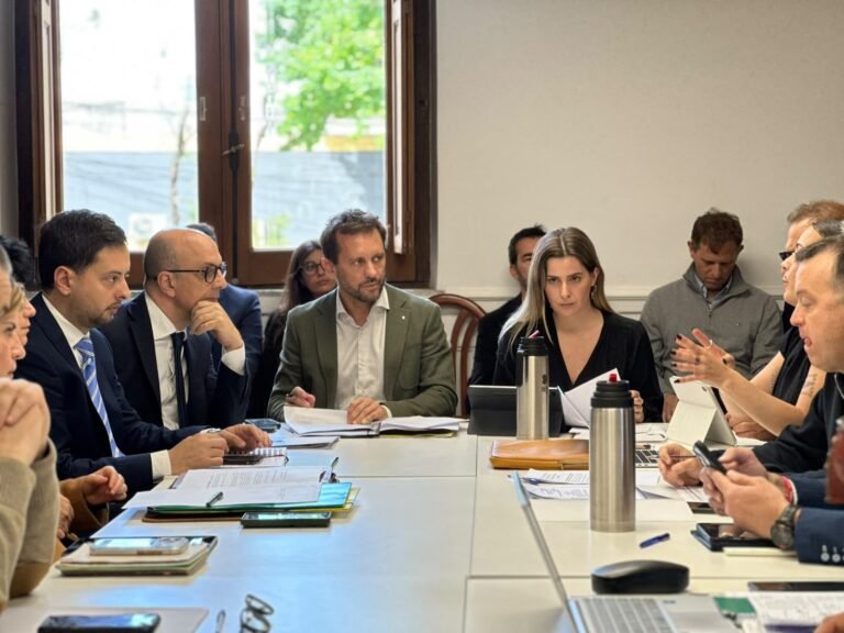 Seguridad en Santa Fe: Diputados trata un nuevo paquete de medidas contra el delito