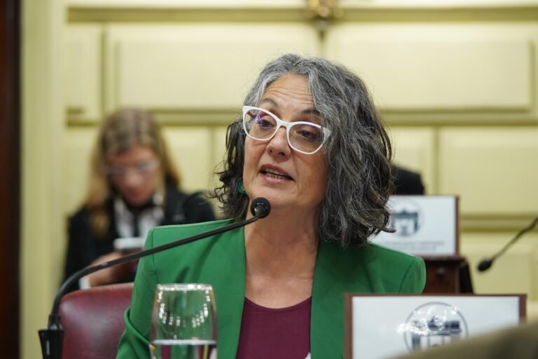 “Preguntá por Ángela” quedó a un paso de convertirse en ley en Santa Fe
